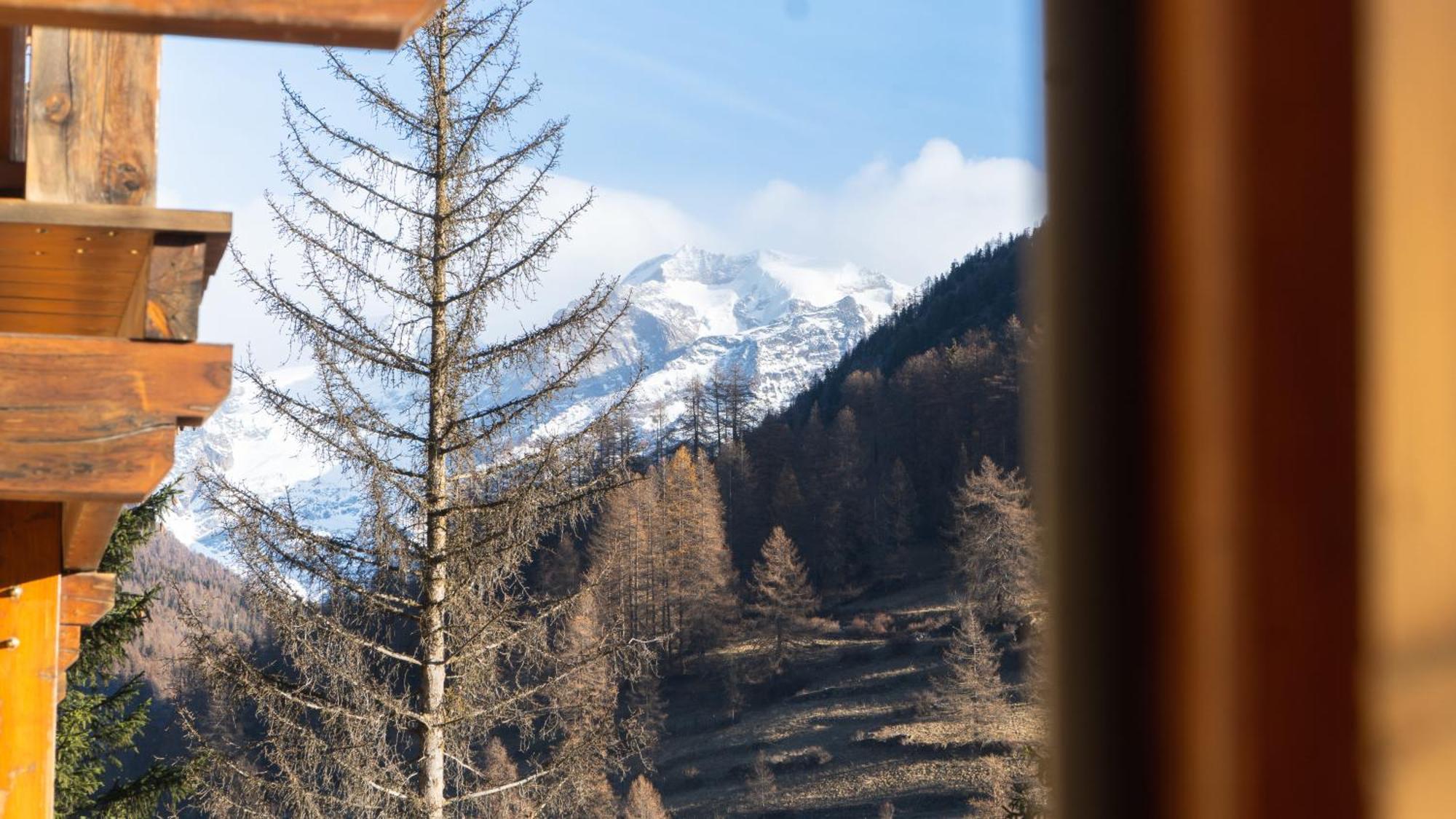 Maison Poluc Hotel Apartments Champoluc Esterno foto
