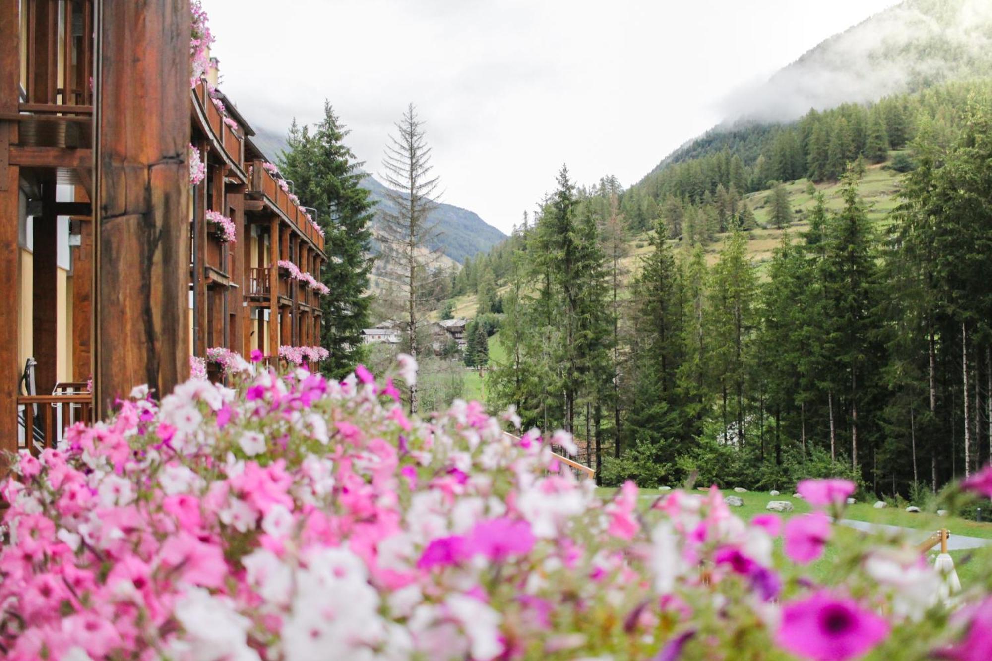 Maison Poluc Hotel Apartments Champoluc Esterno foto